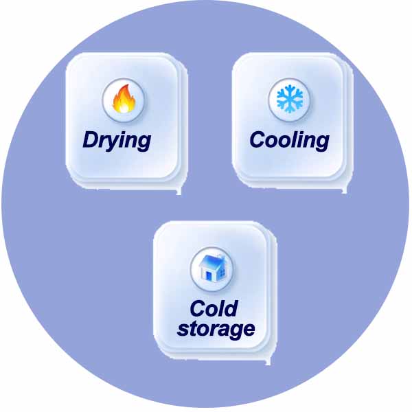 Commercial Heat Pump Drying & Cold Storage and freezer Cabinet 4 Kolant-cold-dry-4